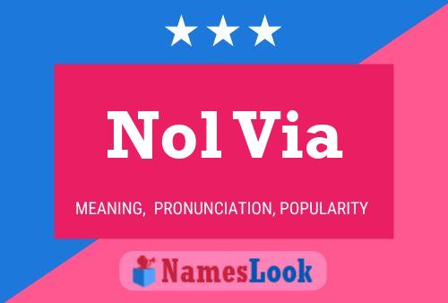 Nol Via Name Poster