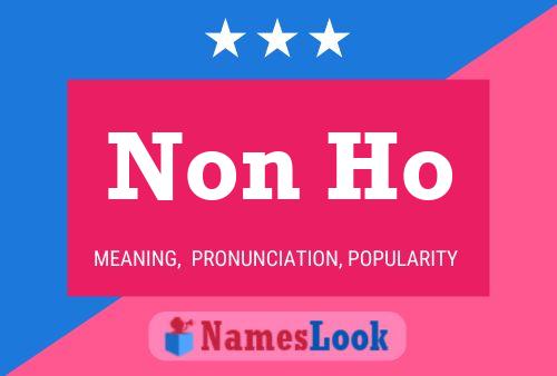 Non Ho Name Poster