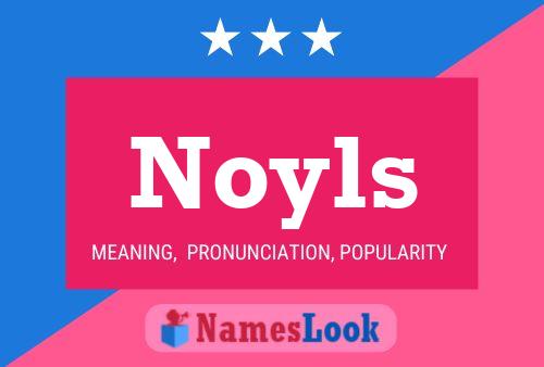 Noyls Name Poster