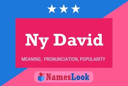 Ny David Name Poster