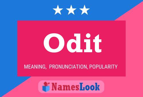 Odit Name Poster