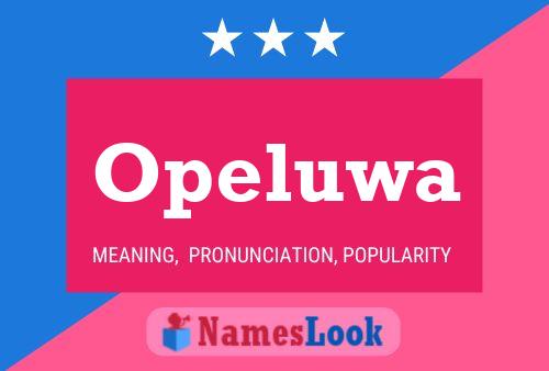 Opeluwa Name Poster