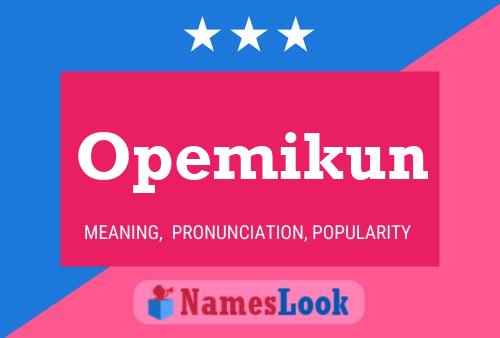 Opemikun Name Poster