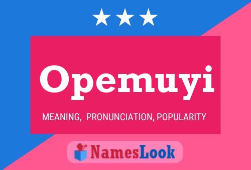 Opemuyi Name Poster