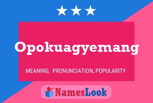 Opokuagyemang Name Poster