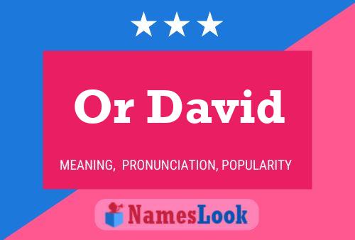 Or David Name Poster