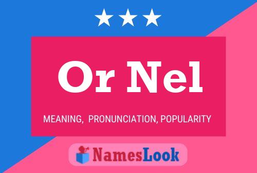 Or Nel Name Poster