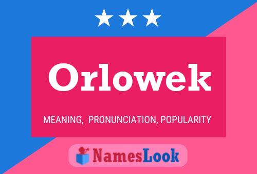 Orlowek Name Poster