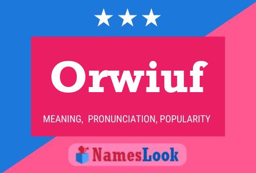 Orwiuf Name Poster