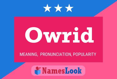 Owrid Name Poster