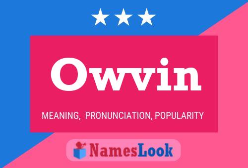 Owvin Name Poster