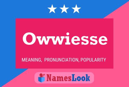 Owwiesse Name Poster