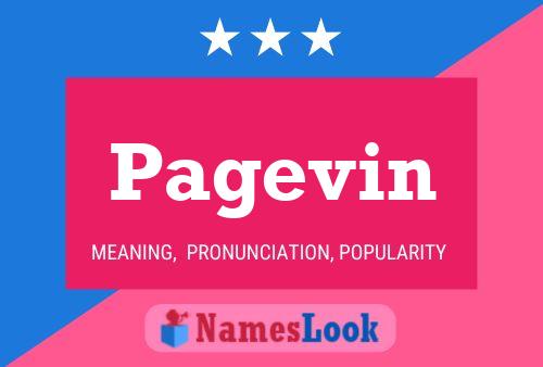 Pagevin Name Poster