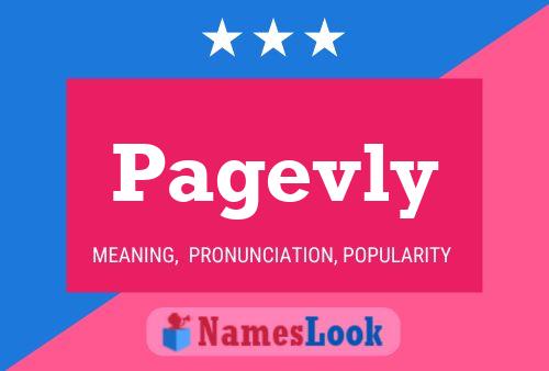 Pagevly Name Poster