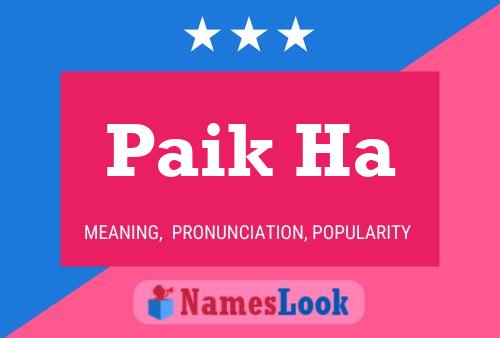 Paik Ha Name Poster