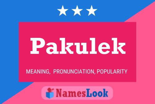 Pakulek Name Poster