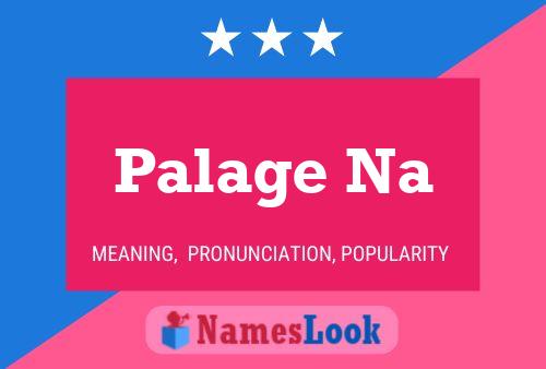 Palage Na Name Poster