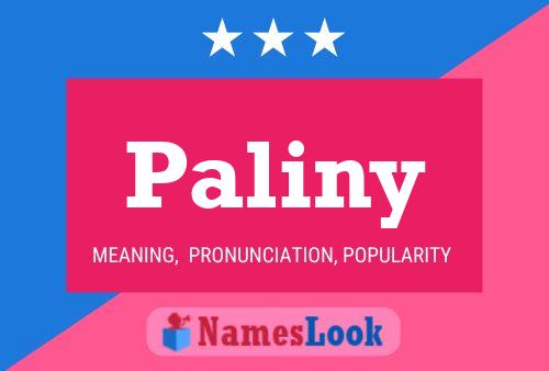 Paliny Name Poster