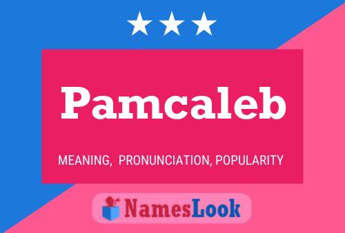 Pamcaleb Name Poster