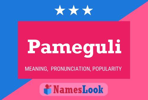 Pameguli Name Poster