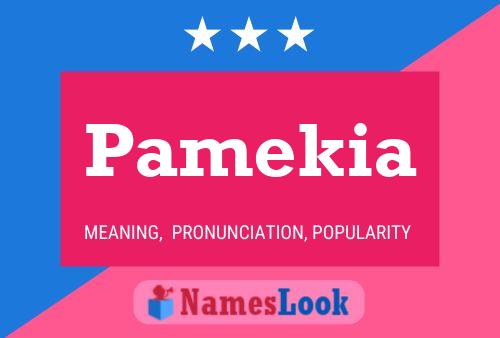 Pamekia Name Poster