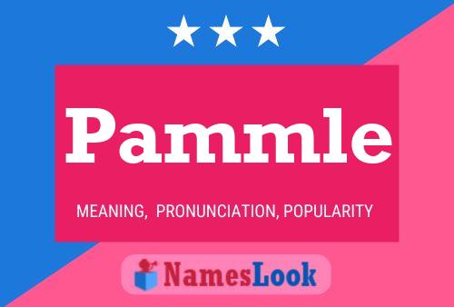 Pammle Name Poster