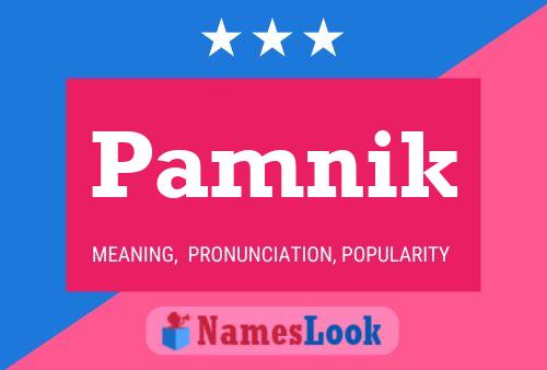 Pamnik Name Poster