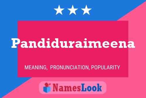 Pandiduraimeena Name Poster