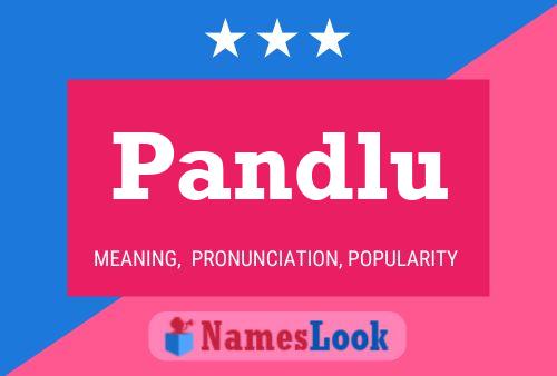 Pandlu Name Poster