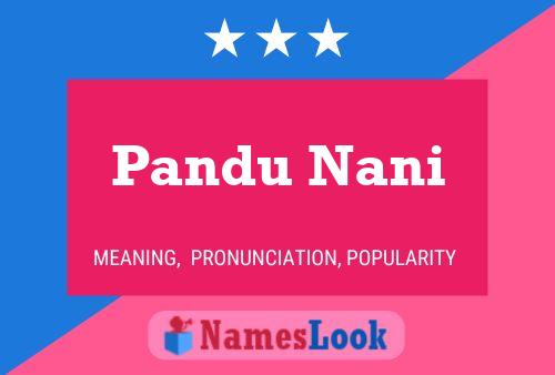 Pandu Nani Name Poster