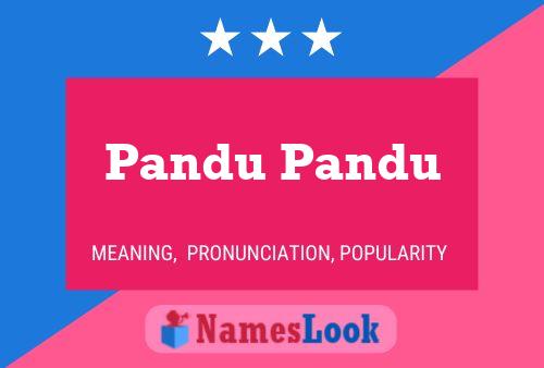 Pandu Pandu Name Poster