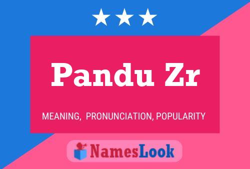 Pandu Zr Name Poster