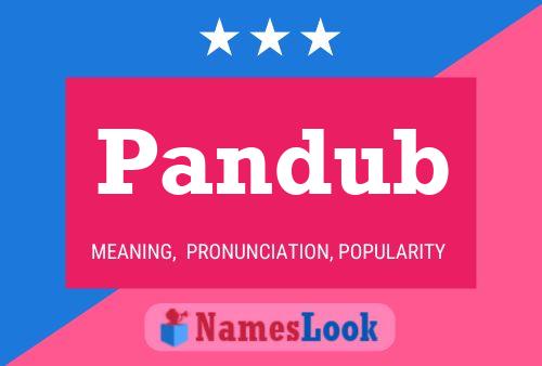 Pandub Name Poster