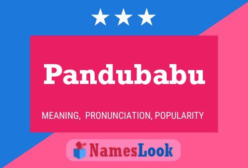 Pandubabu Name Poster