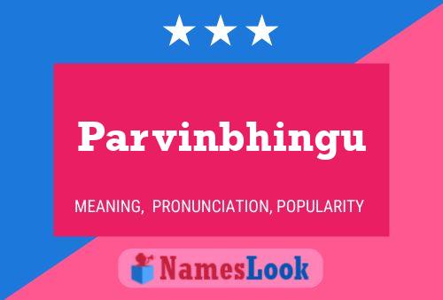 Parvinbhingu Name Poster