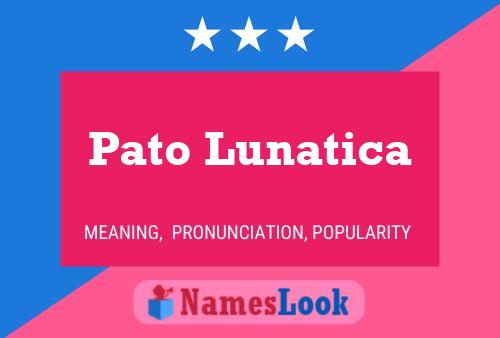 Pato Lunatica Name Poster