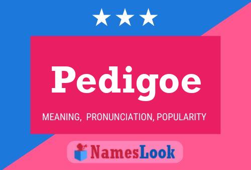 Pedigoe Name Poster