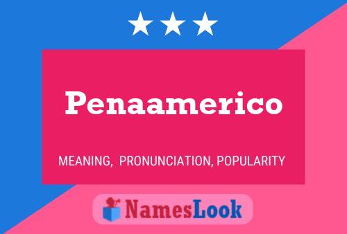 Penaamerico Name Poster