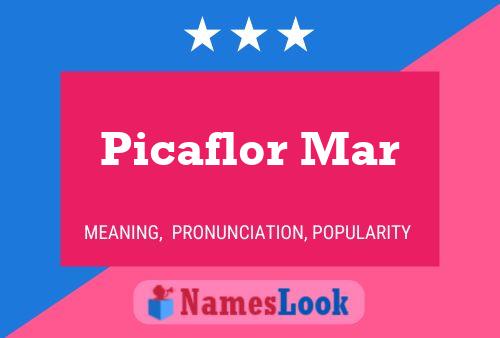 Picaflor Mar Name Poster