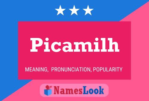 Picamilh Name Poster