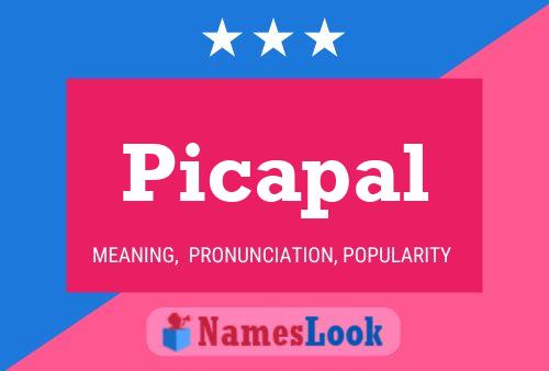 Picapal Name Poster