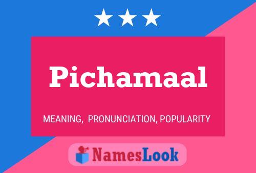 Pichamaal Name Poster