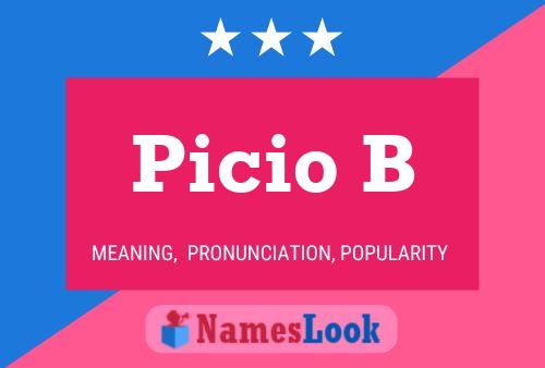 Picio B Name Poster