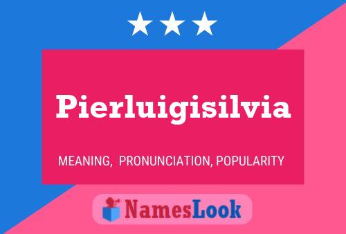 Pierluigisilvia Name Poster