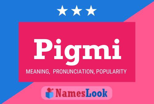 Pigmi Name Poster