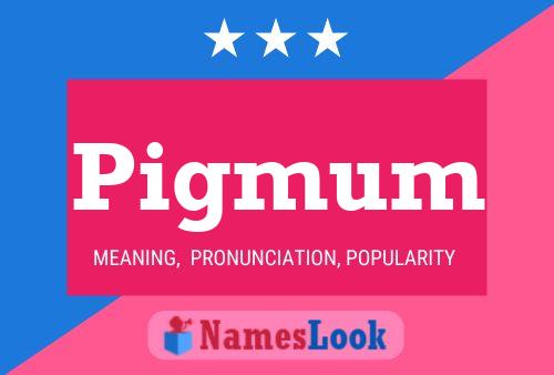 Pigmum Name Poster