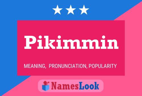 Pikimmin Name Poster