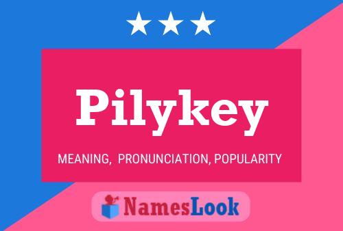 Pilykey Name Poster