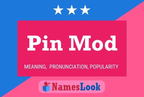 Pin Mod Name Poster