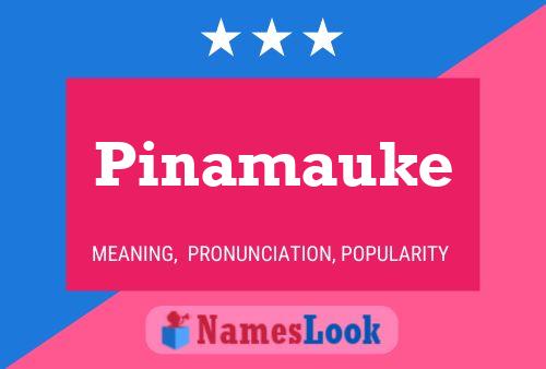 Pinamauke Name Poster